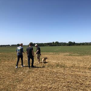 Gallery Photo 19