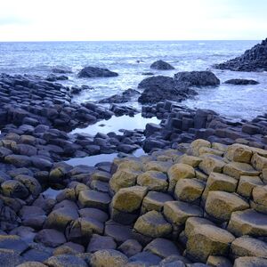 Gallery Photo 21