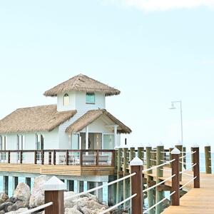 Gallery Photo 8