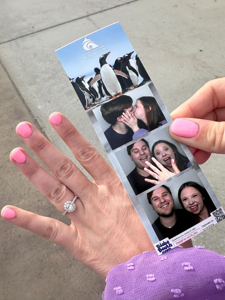 Of course, the penguins were involved in the dream proposal.