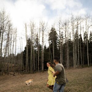 Gallery Photo 8