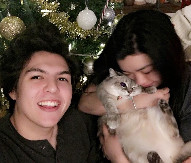 Our first Christmas ft our late kitty Lana. 