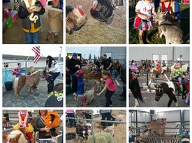 Whitley Acres Exotic Ranch & Stables - Petting Zoo - Levelland, TX - Hero Gallery 1