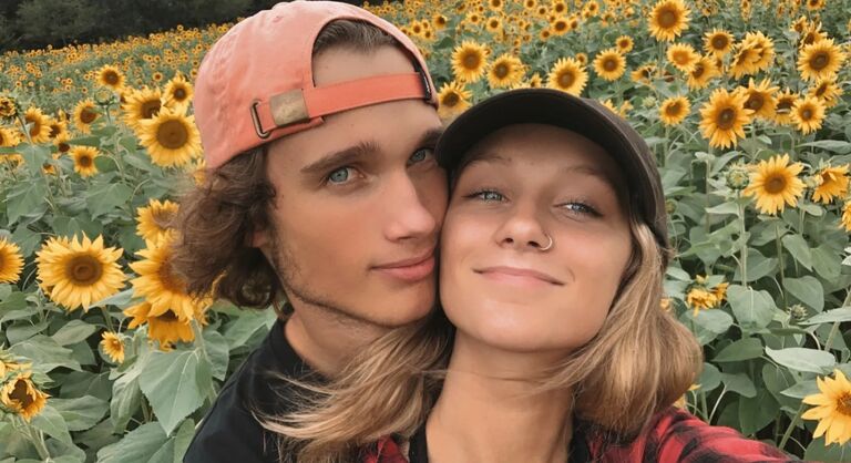 Sunflower picking