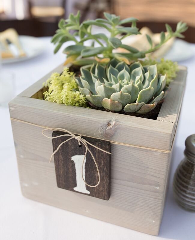 9 Creative Ways to Use Potted Plants In Your Wedding