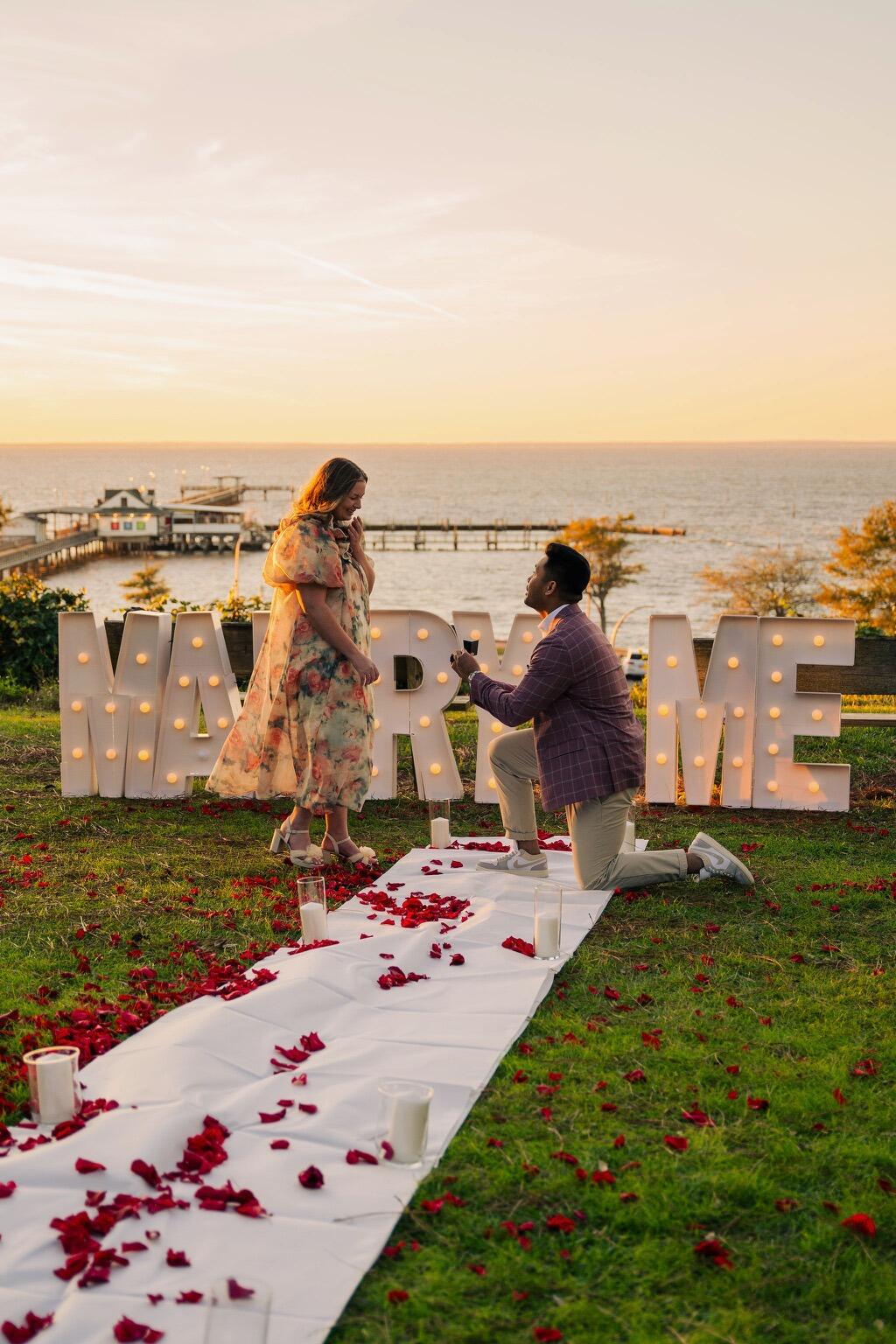 Lily and Edgar are engaged! 