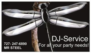 Steel Dragonfly Music - Dj Services - DJ - Dade City, FL - Hero Main