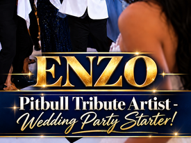 Pitbull Tribute Artist - Wedding Party Starter! - Tribute Singer - Fort Lauderdale, FL - Hero Gallery 2