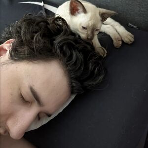 Gallery Photo 25