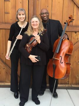 Christa's Collaborations - String Quartet - Reedley, CA - Hero Main