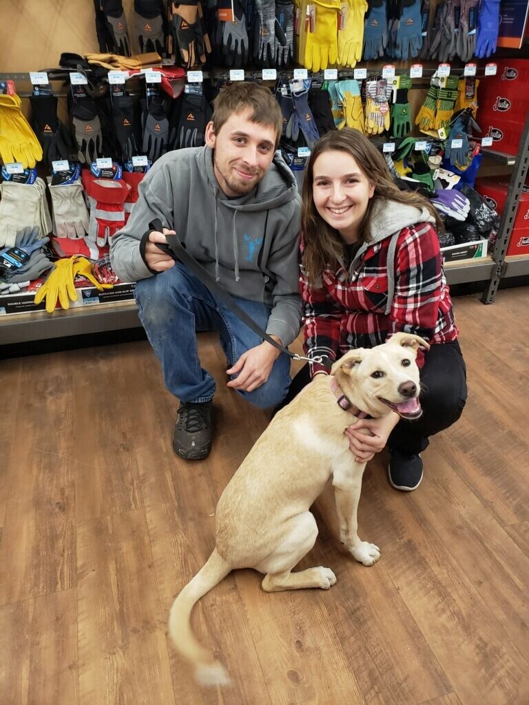 Ryan and Miranda add Sadie to the family!