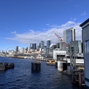 Gallery Photo 7