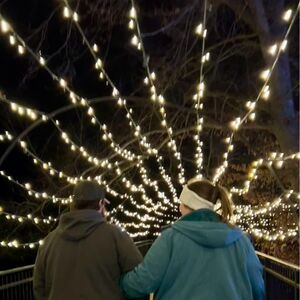 Gallery Photo 20