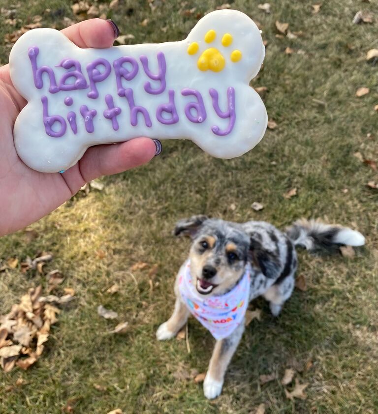 We celebrated Niko's 1st birthday!