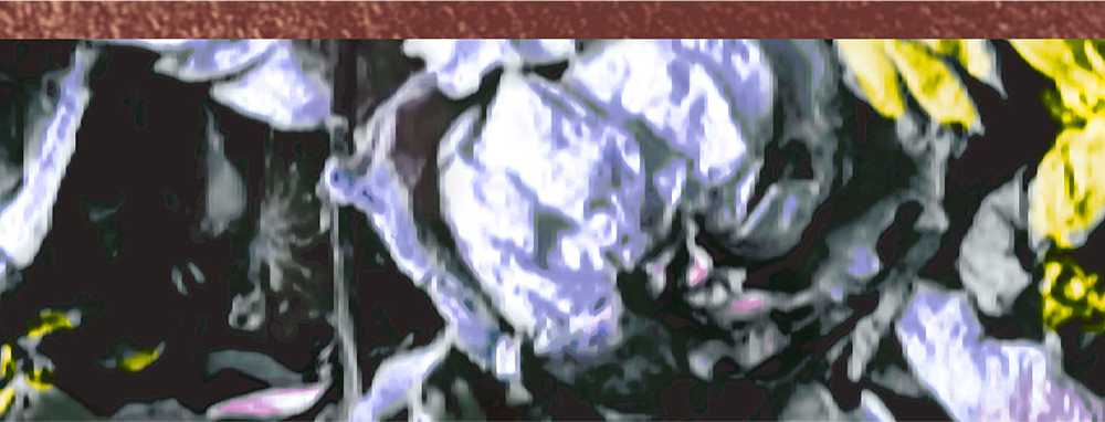 Bottom Theme Image