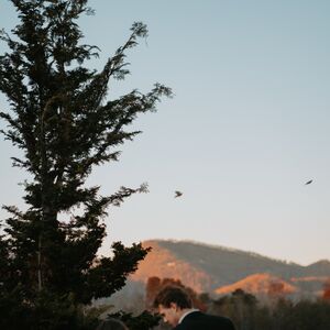 Gallery Photo 7
