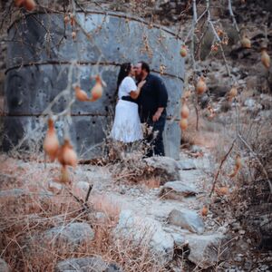 Gallery Photo 4