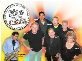 Fitz And The Cats - Motown Band - Franklin Park, NJ - Hero Gallery 1