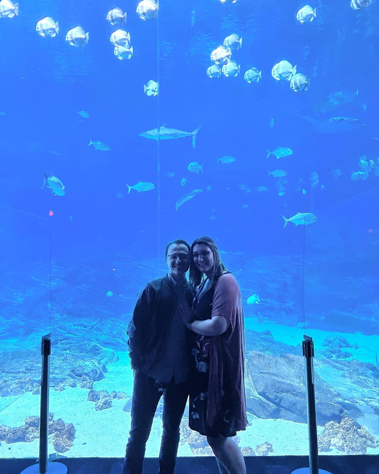 For our New Year's Trip in 2021, Marissa surprised John with a trip to Atlanta, Georgia! We had so much fun ringing in the new year at the Georgia Aquarium!