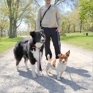 Gallery Photo 24
