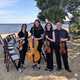 Looking to book String Quartets in your area? Click here to see more!