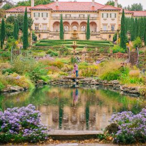 Gallery Photo 20