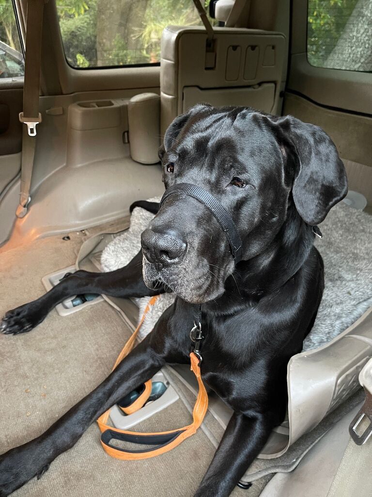 Not ready to get out of the car, it was hard climbing up in there