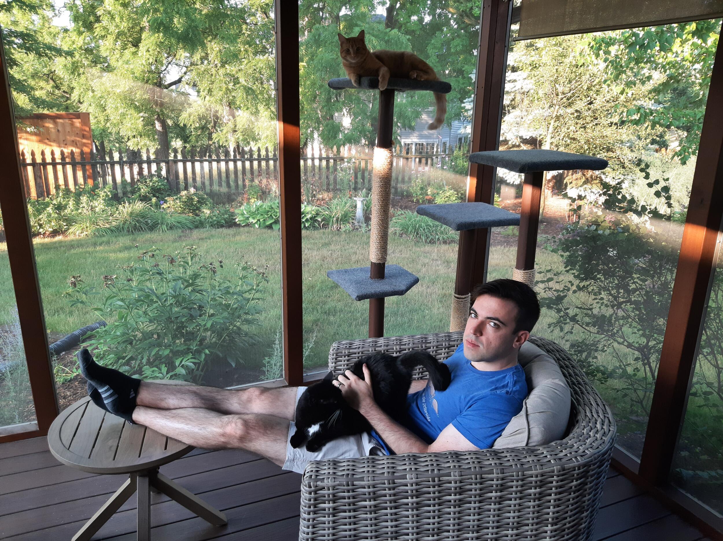 Chillin' with the kitties