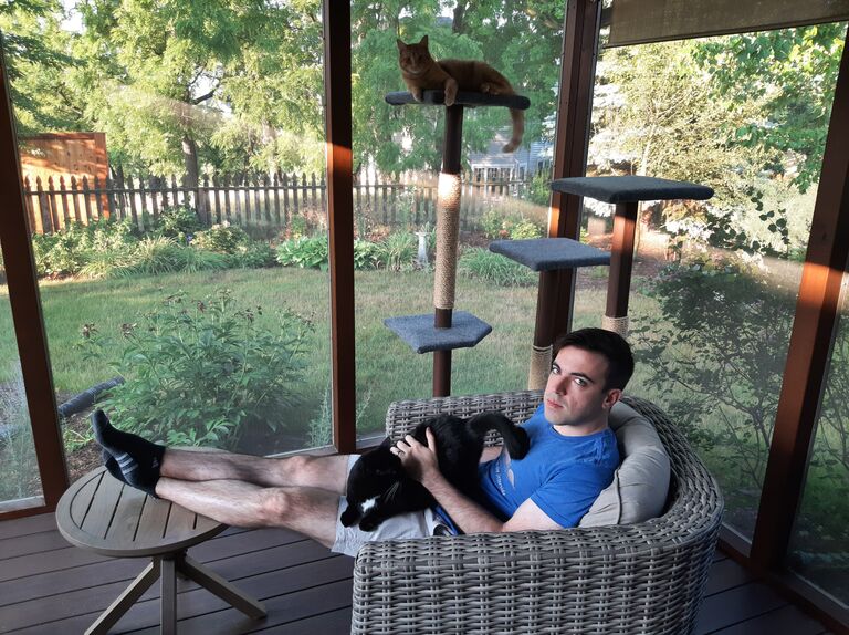 Chillin' with the kitties