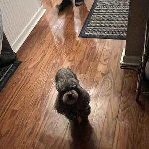 Gallery Photo 46