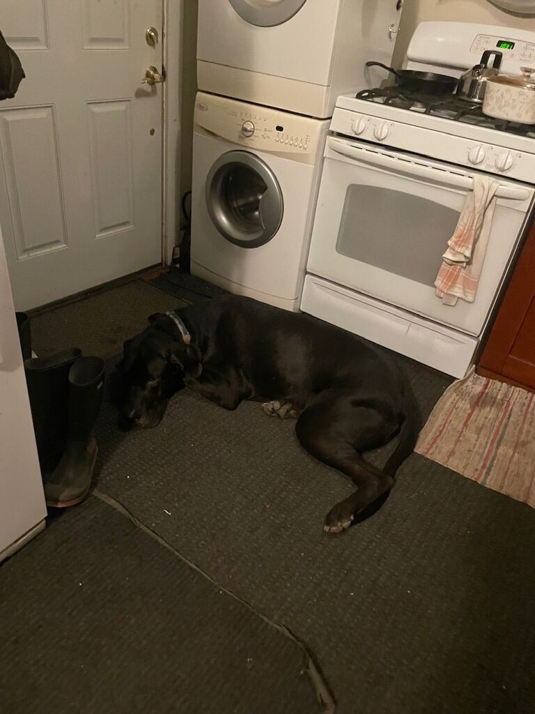 Must wait for Mikey to come home