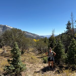 Gallery Photo 26