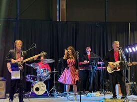 Jayne Bond & the Pink Martinis - Dance Band - Indianapolis, IN - Hero Gallery 4