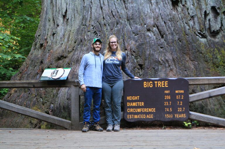 Redwoods State Park CA
