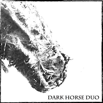 Dark Horse Duo - Top 40 Duo - Madison, WI - Hero Main