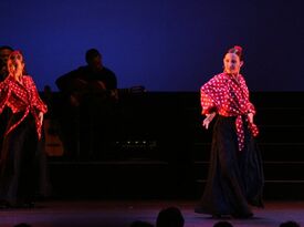 Pasion Flamenca - Flamenco Dancer - Hialeah, FL - Hero Gallery 3
