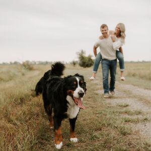 Gallery Photo 24