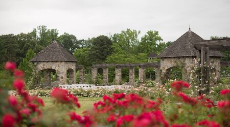 Southern Traditions of Night Blooms & Bloom Parties - Lewis Ginter  Botanical Garden