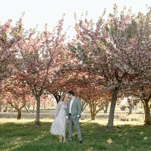 Gallery Photo 22