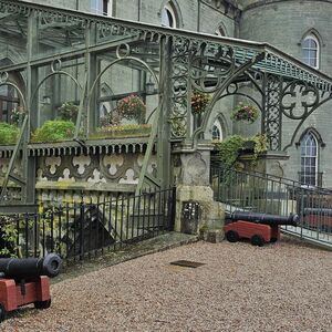 Gallery Photo 190