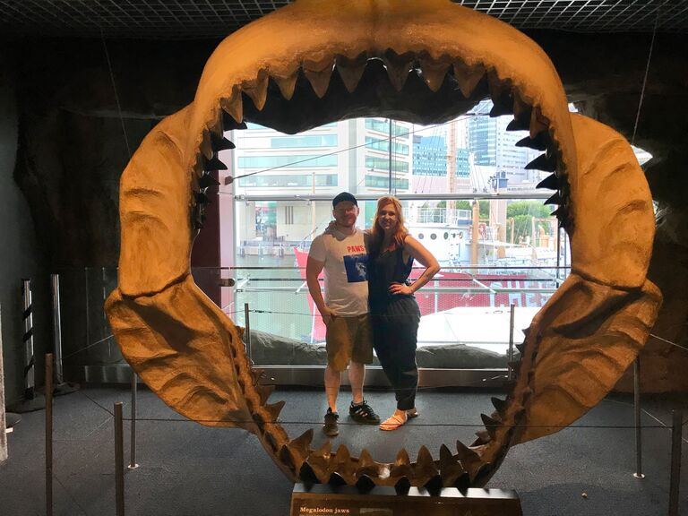 Megalodon jaws at the National Aquarium in Baltimore, MD