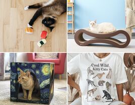 Collage of gift ideas for cat parents