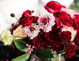 Red roses for valentine's day