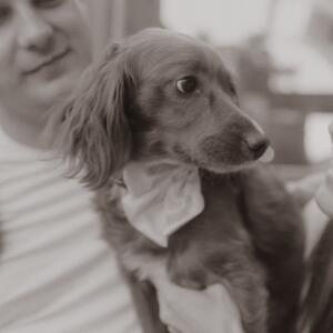 Gallery Photo 23