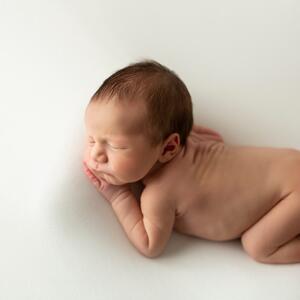 Gallery Photo 18