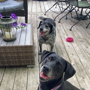 Gallery Photo 53