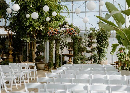 Cactus and Tropicals + Updated Prices - The Knot