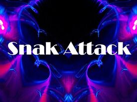 SnakAttack - Cover Band - Minneapolis, MN - Hero Gallery 1