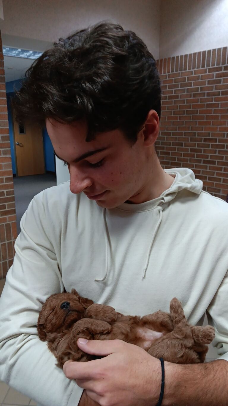 Some puppy snuggles in the midst of finals week.