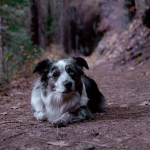 Gallery Photo 163